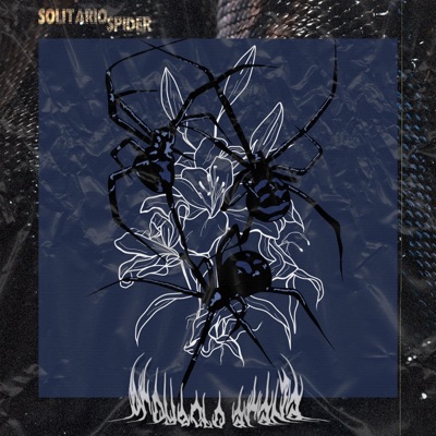 SolitarioSpider I - EP