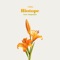 Biotope feat. claquepot - s**t kingz lyrics