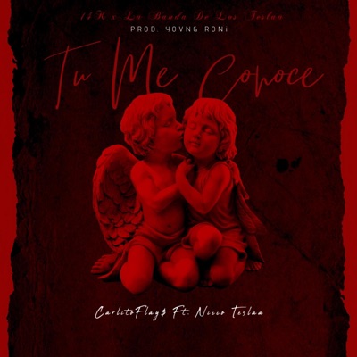 Tu Me Conoce (feat. Nicco Teslaa & Yovng Roni) - Single