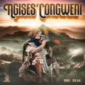 Ngises'Congweni artwork