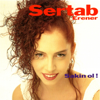 Sertab Erener - Aldırma Deli Gönlüm artwork