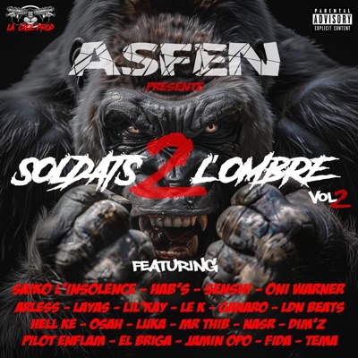 SOLDATS DE L'OMBRE, Vol. 2