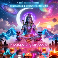 Namah Shivaya - EP - Roni Sadgan, Mou5ZyZZ & Mou5EmO