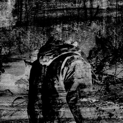 Where The Shadows Fall - Single