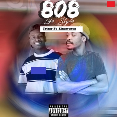 808 Life Style (feat. ziNgwenyA) - Single