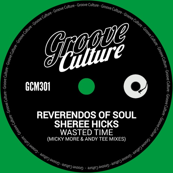 Wasted Time (Micky More & Andy Tee Mixes) - Single