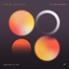 Satin Jackets, David Harks - Shadow Of You	
