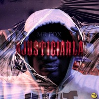Ajusticiarla (feat. Khallaz & Aldair Productions) - Single - Mr. Fox