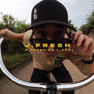 5 Veces En 1 Año - Single