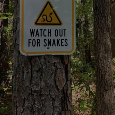 Own My Own (feat. Baby2x & Trellskii) - Single