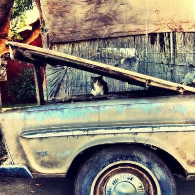 French Ghetto (2025 Redux)