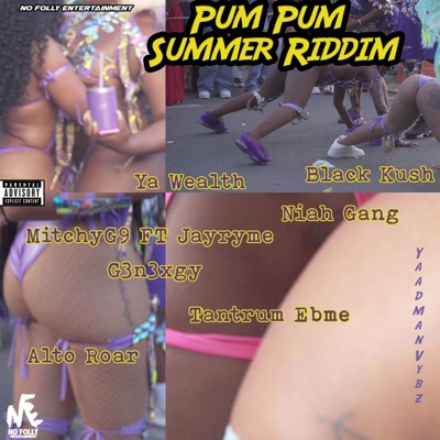 Pum Pum Summer Riddim