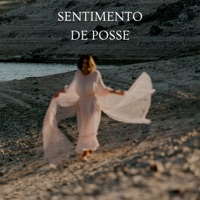 SENTIMENTO DE POSSE - Single - Samba de Raiz