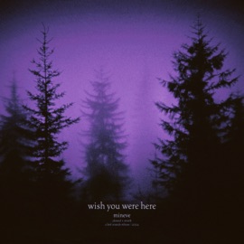 wish you were here (slowed + reverb) Mineve