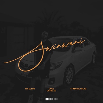 swinwani (feat. Micky blaq) - Single