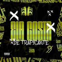 Ela Gosta de Traficante - Single - DJ BIEL BKS, MC Menor da VZ & MC Naiba