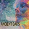 432 Hz Sound Therapy - Garden of Hertz lyrics