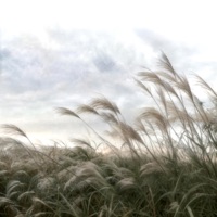 kissin u - Single - promise