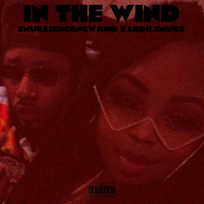 In the Wind (feat. Ladii Smurk) - Single
