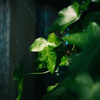 Sittin Back Bass Boosted - Single