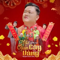 Mấy Trăm Cây Vàng - Single - Nguyen Khanh Sang & Pin