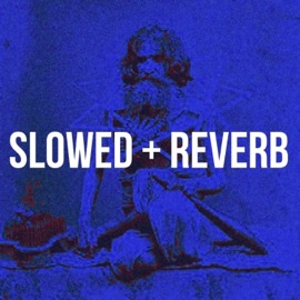 Bam Lehri (Slowed & Reverb) RhymSter