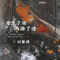 爱生了锈雨淋了透 - Single - 刘馨蔚