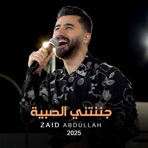 جننتني الصبية - Single