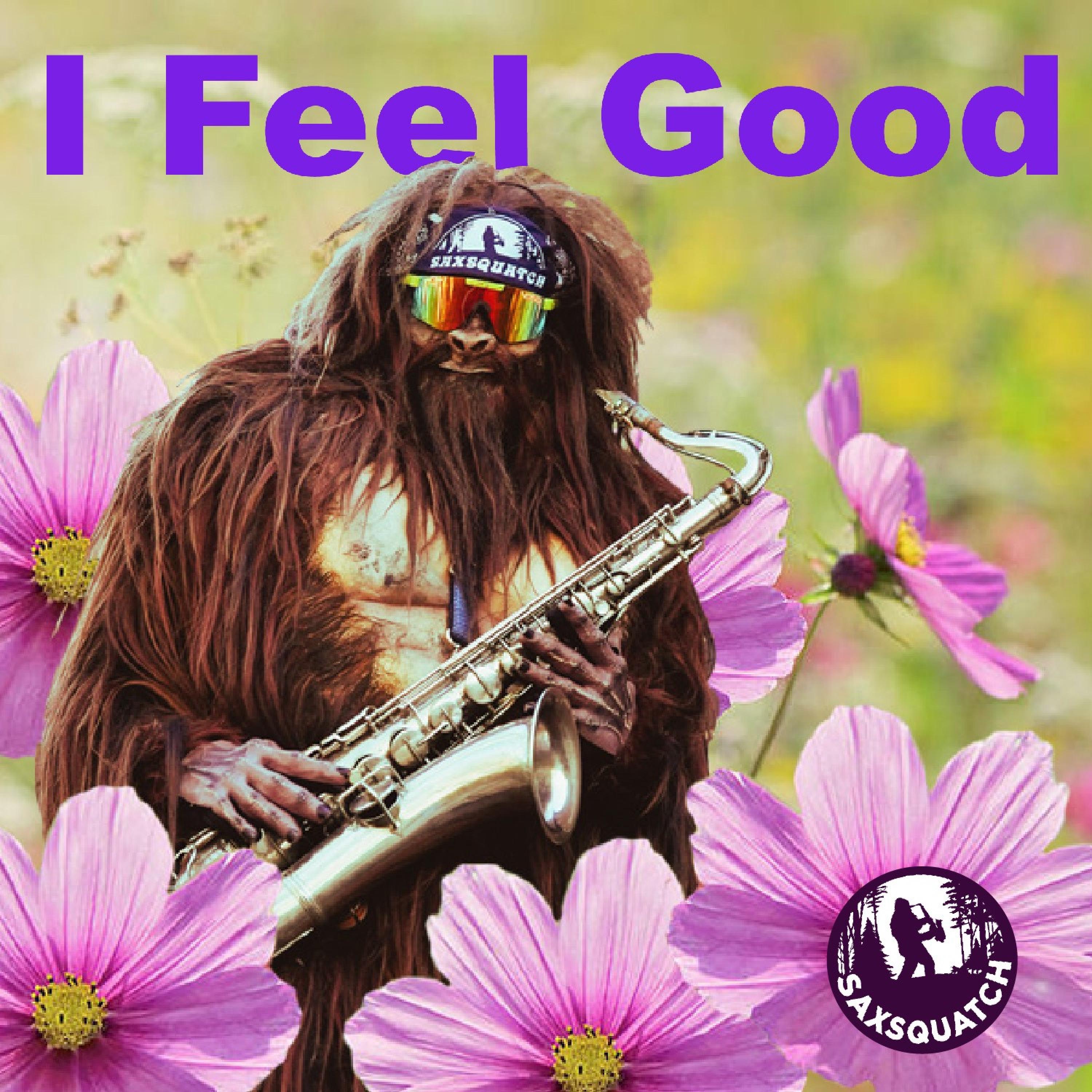 I Feel Good - Single