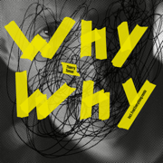 Why Why - Thierry Tomas