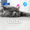 Lazy - Single