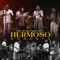 Hermoso Momento (feat. Oasis Ministry) artwork
