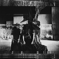 The Weed Made Me So Brain Dead, I Forgot I Am Retarded (feat. SBDYL & T$UJii) - Single - Oxycobxin