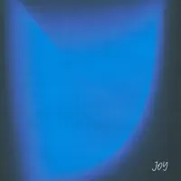 Joy — JOSHUA LAZER