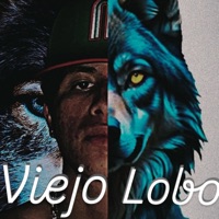 Viejo lobo - Single - El flaco de la rima fina