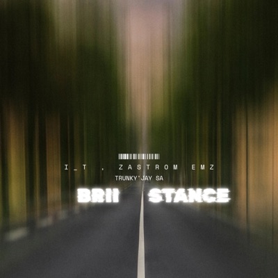 Brii Stance (feat. TRUNKY'JAY SA & Zastrom EMZ) - Single