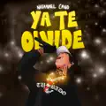 YA TE OLVIDE