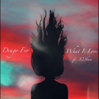 What Is Love (feat. B.A.M) - Single - luhzay