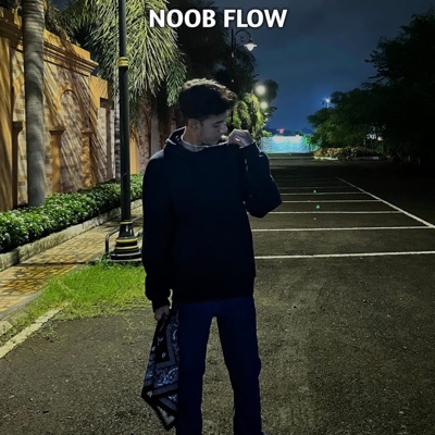 Noob Flow - Single