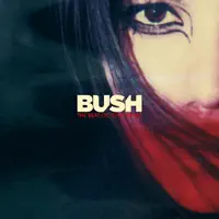 The Beat Of Your Heart — Bush