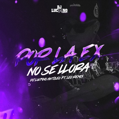 Por La Ex No Se Llora (feat. LeoRemix) - Single