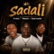 Sadali (feat. D Voice & Malume) - Goodmaster255 lyrics