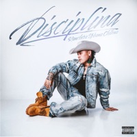 Disciplina - Toly Fu