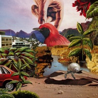 Ti Cri A Moin Anin (Live)