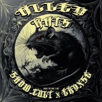 ALLEY RATS - Single - SHDW.CULT