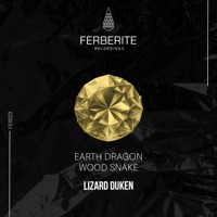 Earth Dragon / Wood Snake - Single - Lizard Duken