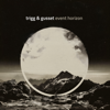 Event Horizon - Trigg & Gusset new Single