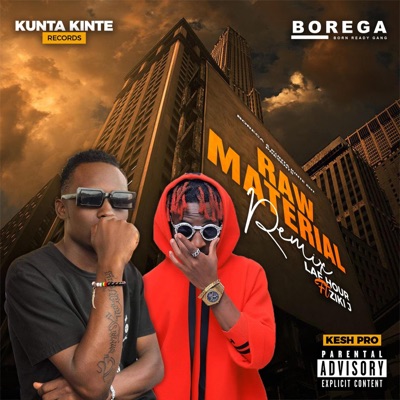 Raw Material (feat. ZIKI J) [REMIX] - Single