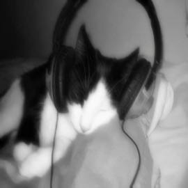 Lucked Up?! Killxmenta