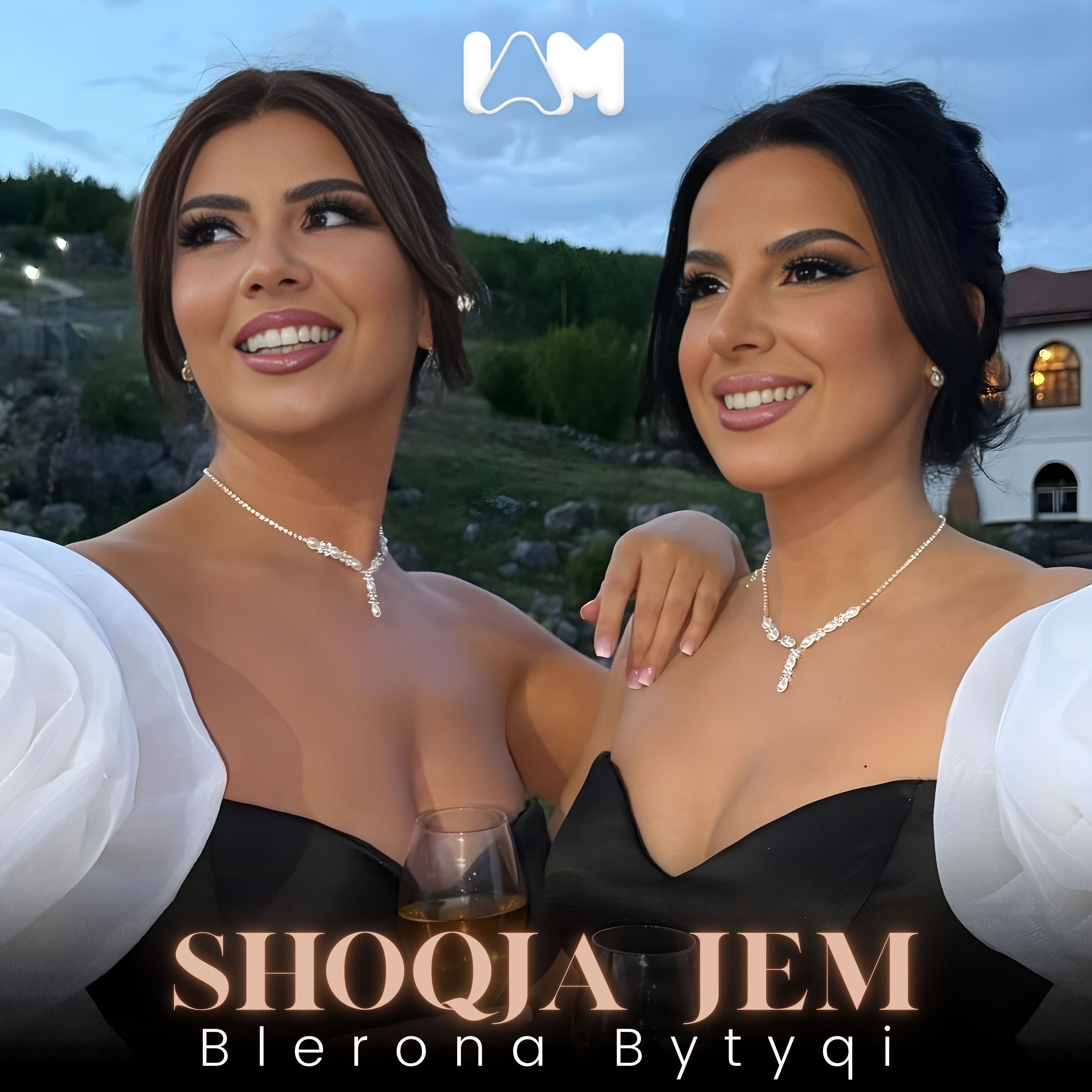 Blerona Bytyqi - Shoqja jem 2025
